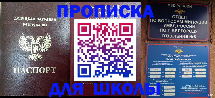 прописка для работы в Вышнем Волочке